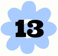 flower13