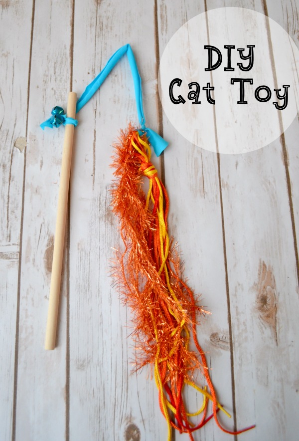DIY Cat Toy