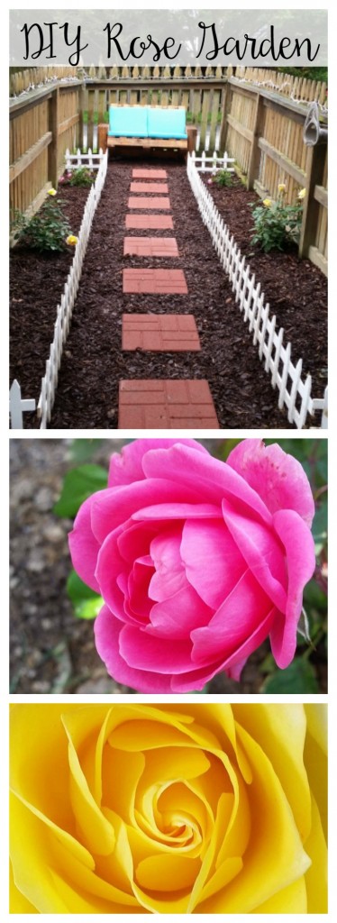 DIY Rose Garden