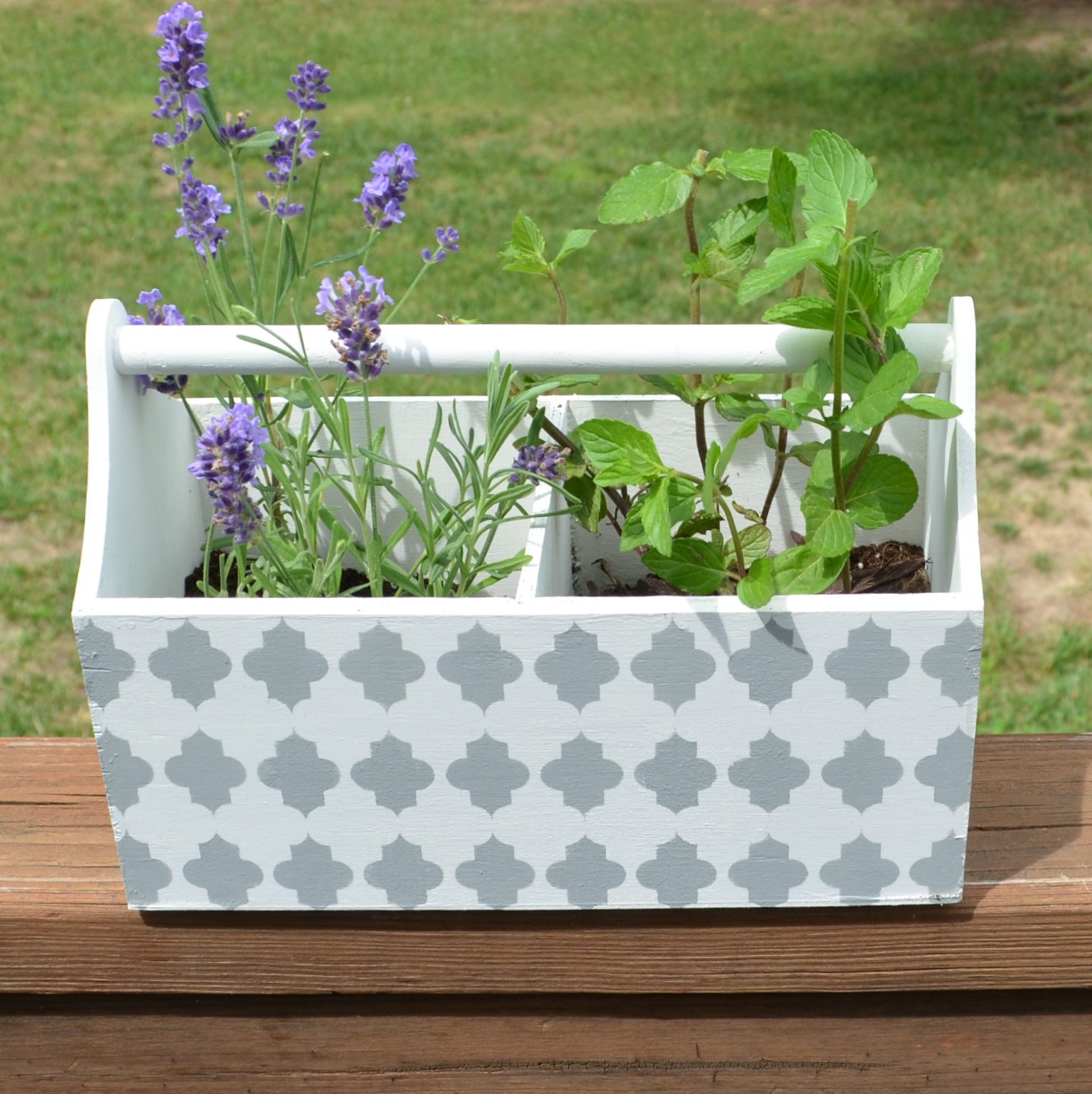Stenciled Window Box for Herbs