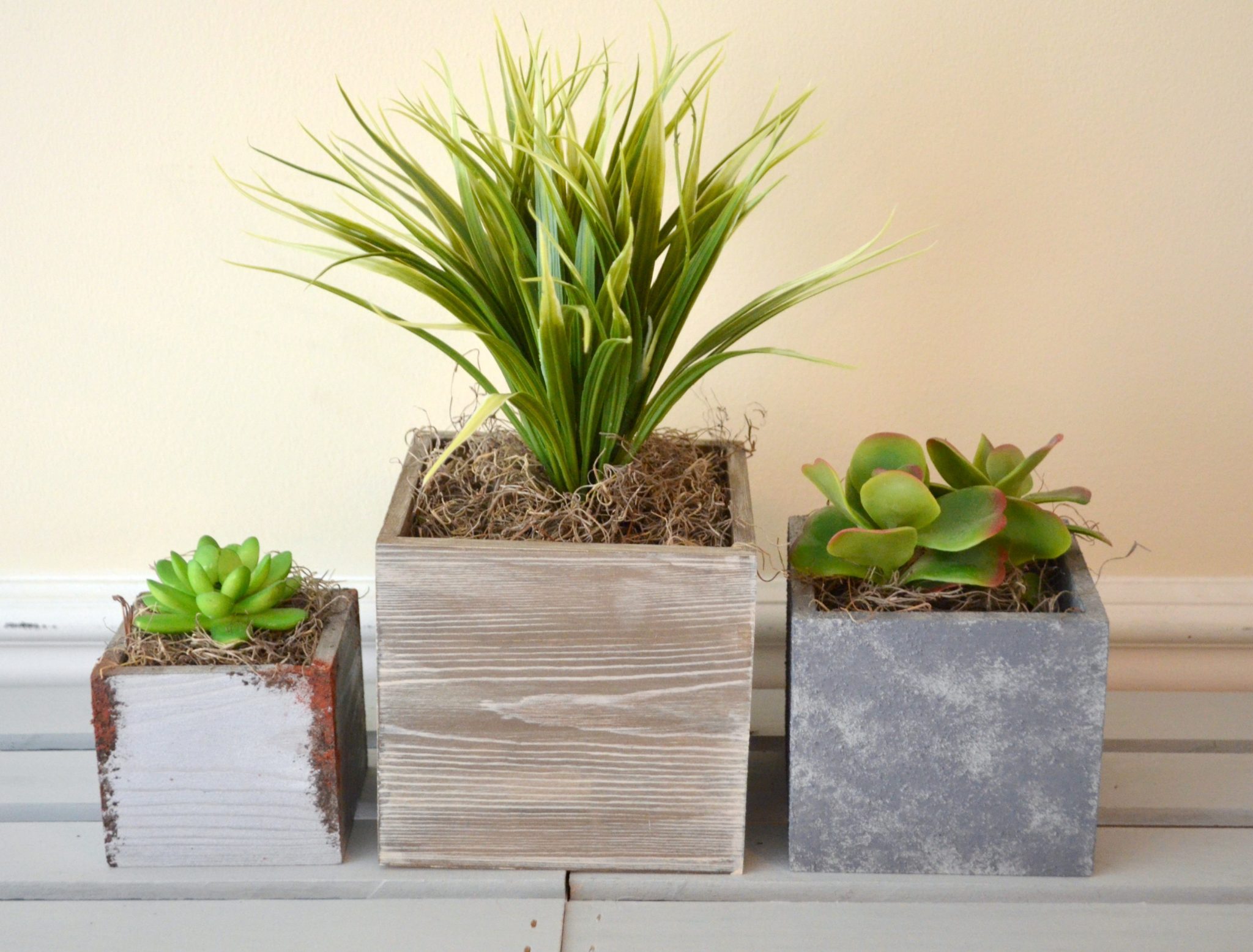 Succulent Planters made with Painted Finishes