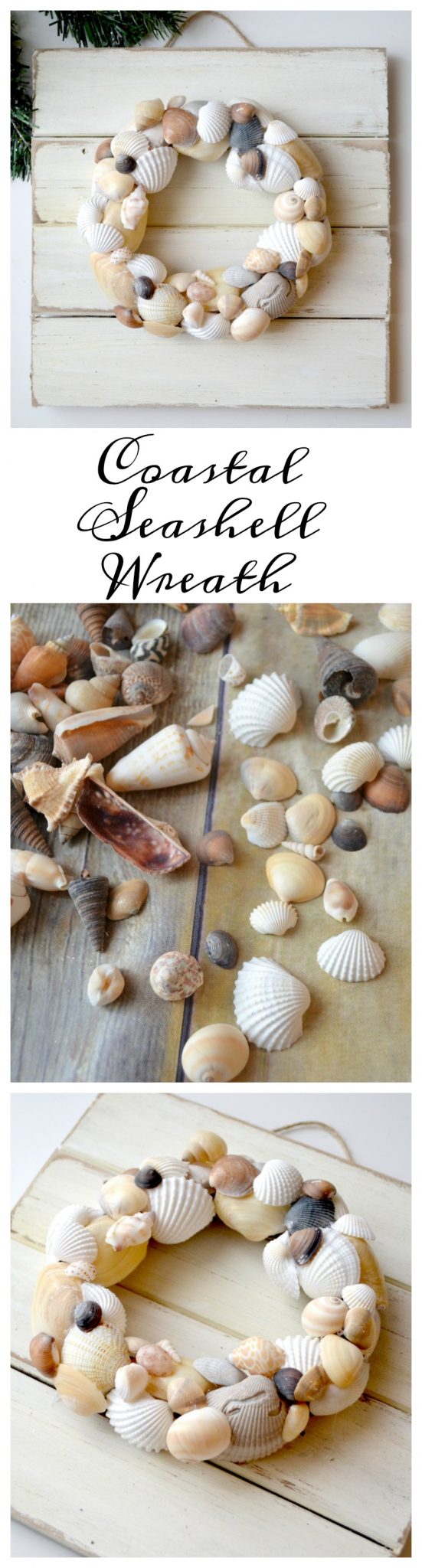 Coastal Seashell Wreath