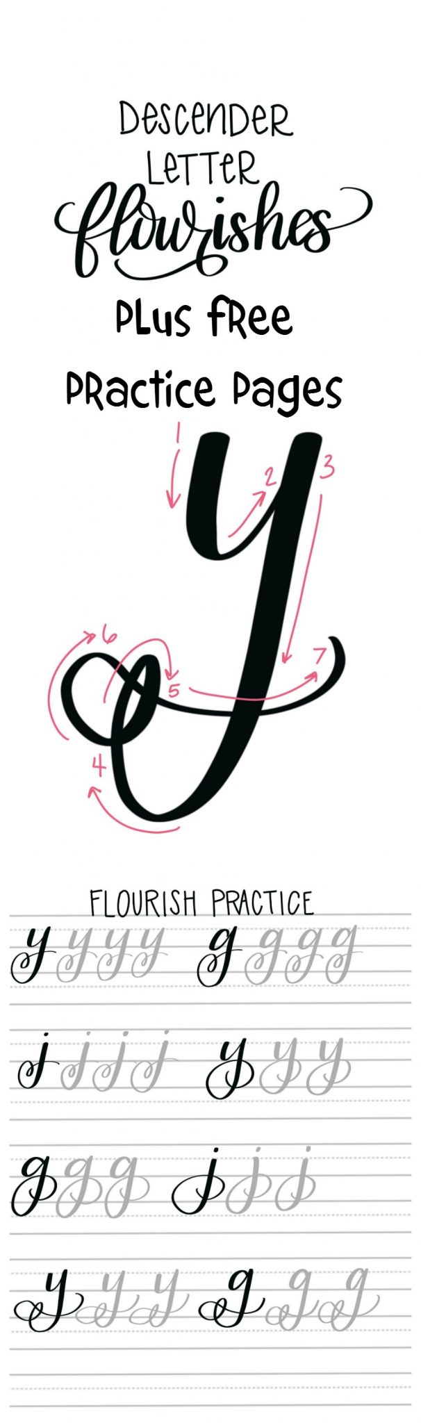 Flourishes in Hand Lettering: Free Practice Pages