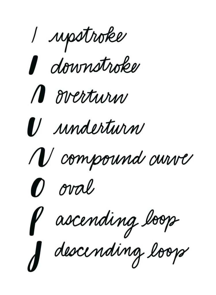 Hand Lettering: The 8 Basic Brush Strokes - Amy Latta Creations