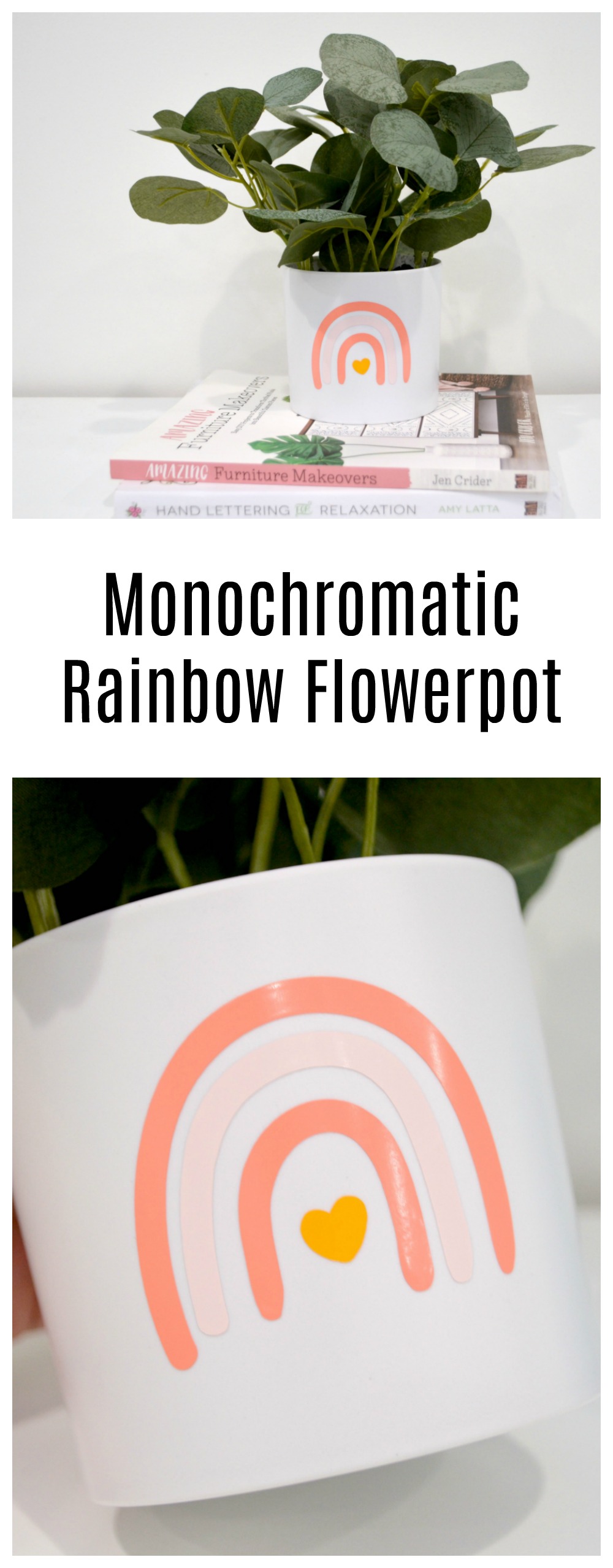 Monochromatic Rainbow Flowerpot