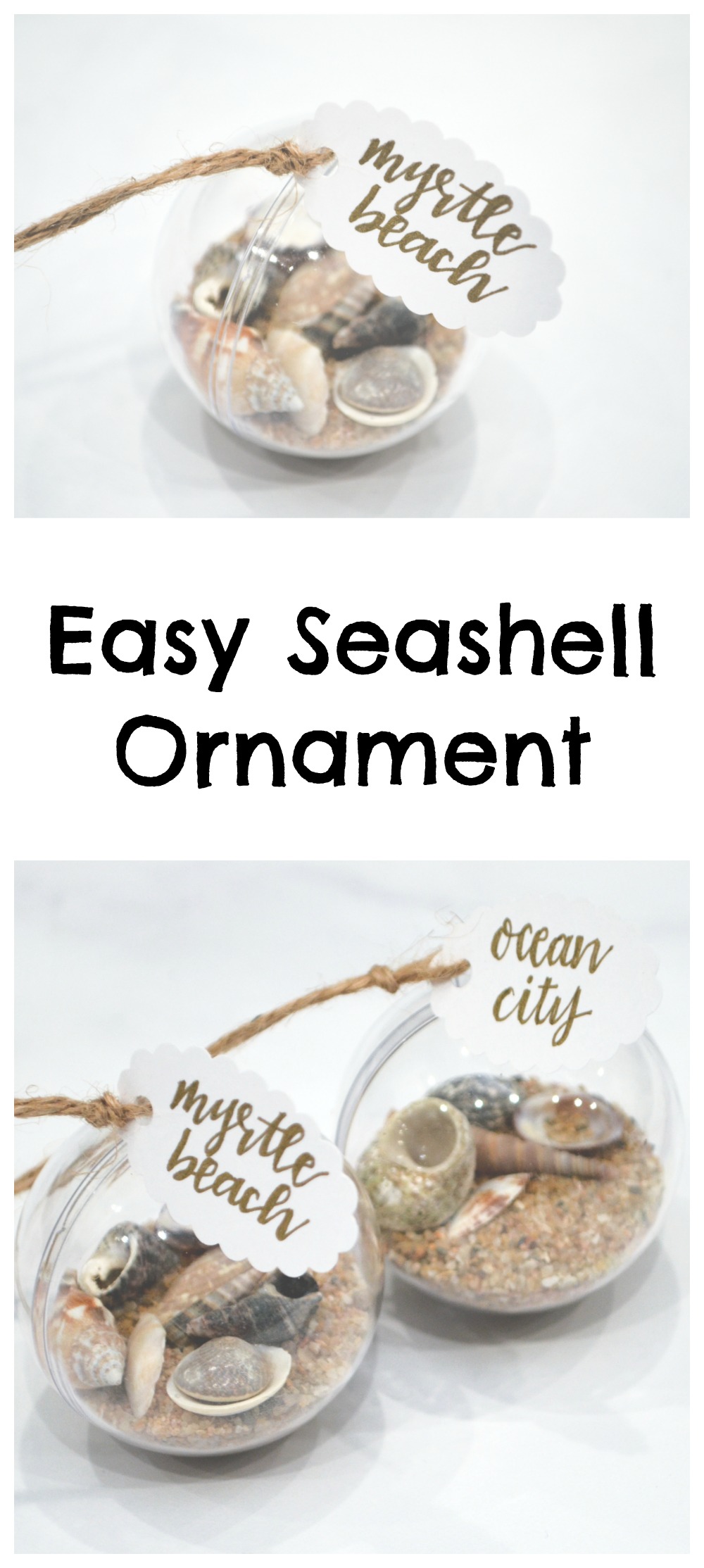 Easy Seashell Ornament