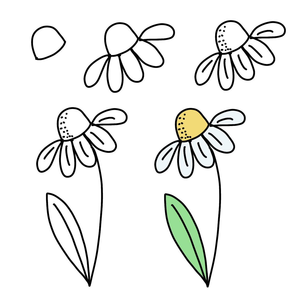 Image contains five step by step sketches for how to draw a daisy, as described in the post.