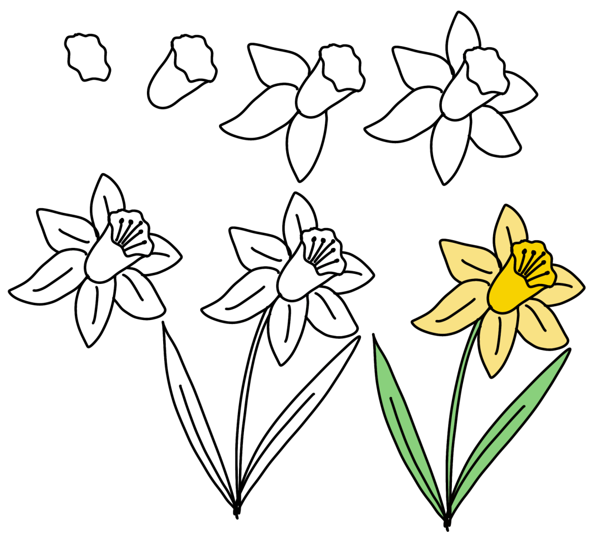 Image contains seven step by step images for how to draw a daffodil, as described in the post.
