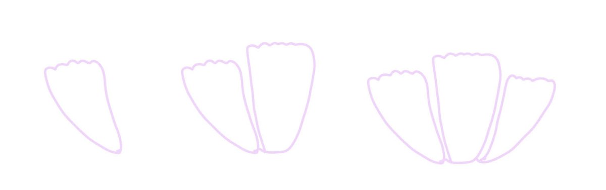 Image contains step by step illustrations for drawing three flower petals.