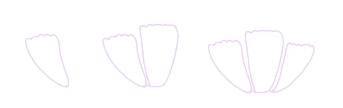 Image contains a step by step illustration for drawing three flower petals.