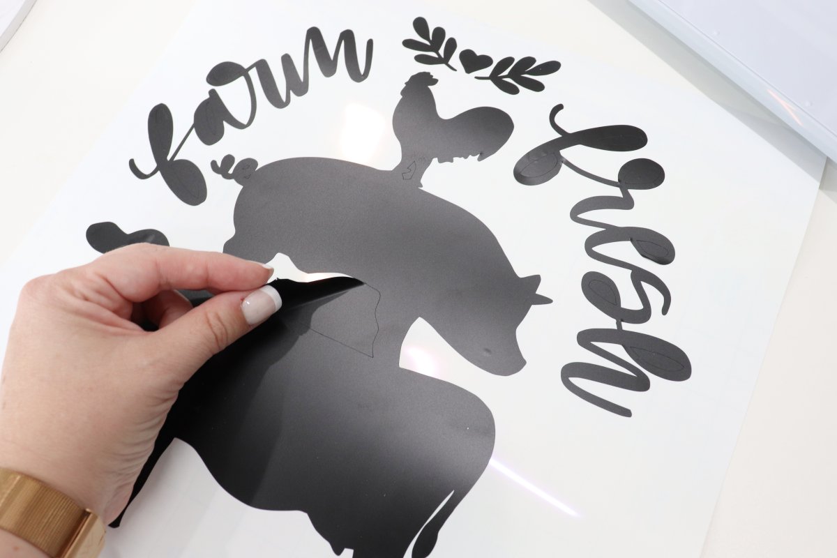 Image contains Amy's hand weeding black vinyl away from the "farm fresh" decal design.