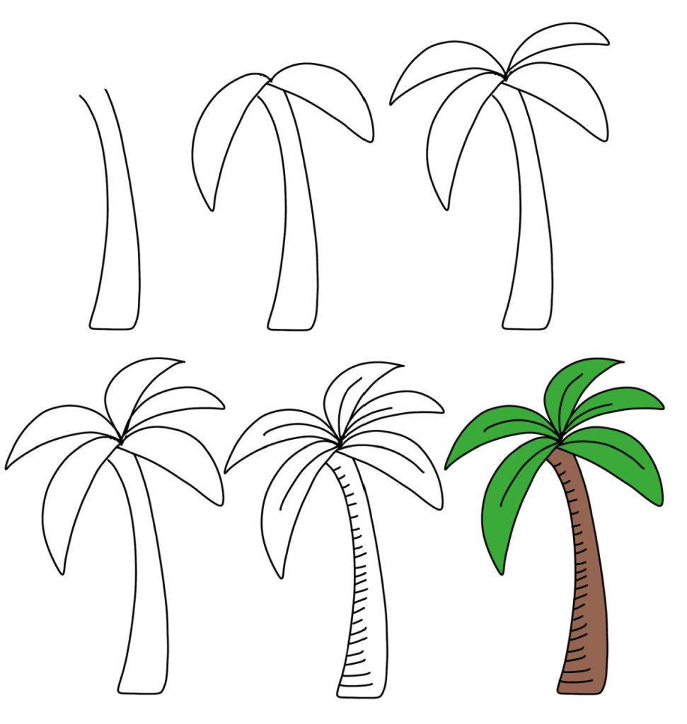 Image contains six steps for drawing a palm tree, as described in the written instructions.