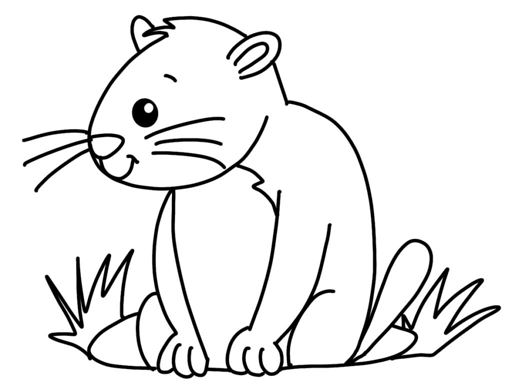 Image shows the doodled groundhog with a face added.