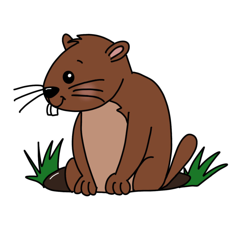 Image shows the completed groundhog doodle colored in.