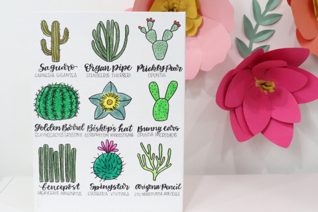 Image contains a white canvas decorated with nine hand-drawn cactus doodles. Each cactus is labeled below its drawing with its common and scientific names.