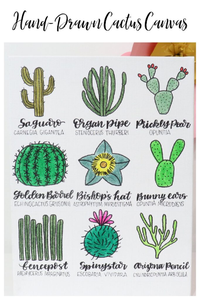Image contains a white canvas decorated with nine hand-drawn cactus doodles. Each cactus is labeled below its drawing with its common and scientific names.