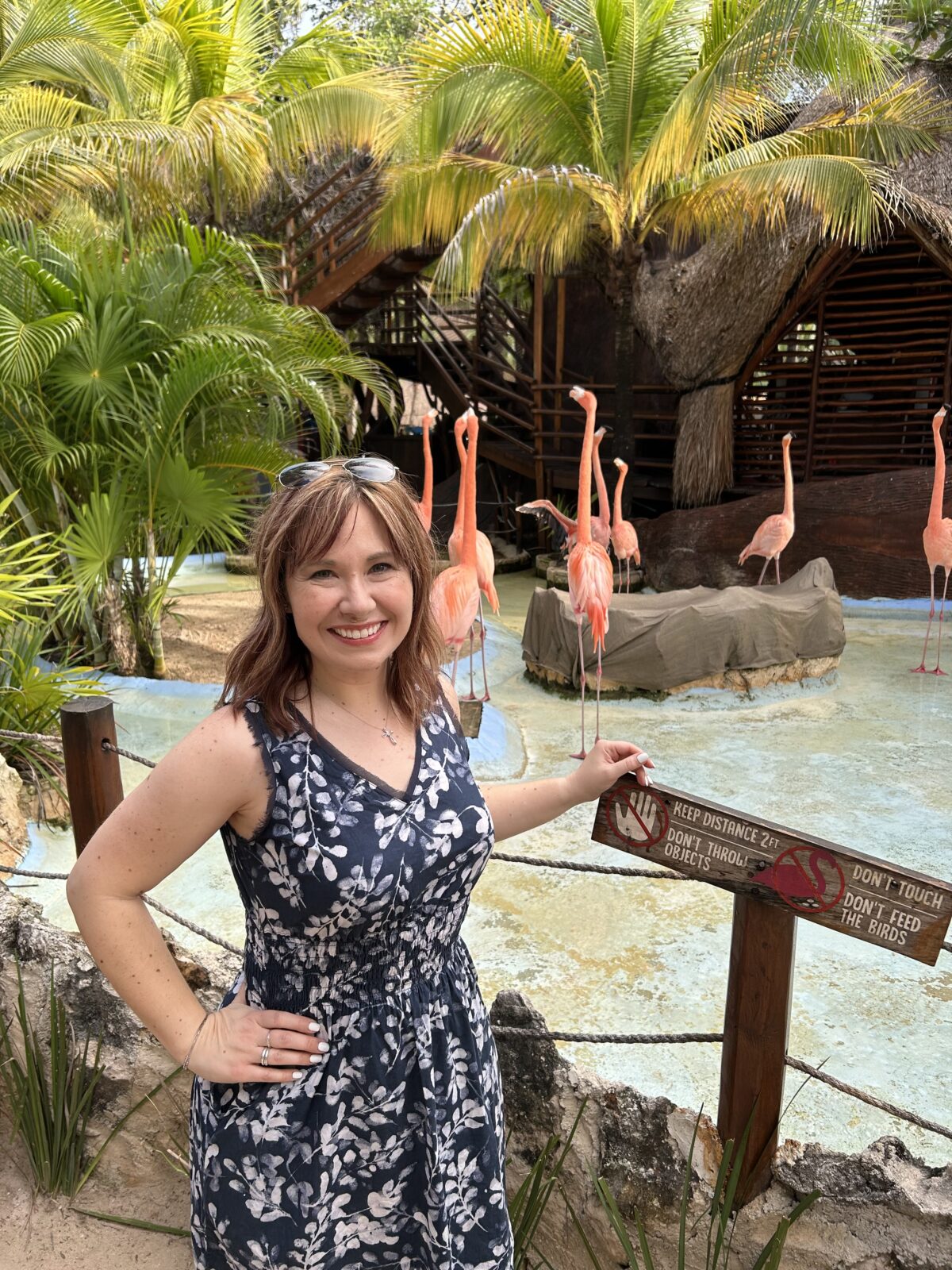 Image contains a woman in a blue dress standing in front of a flock of flamingos.